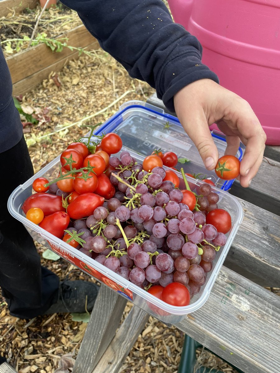 Back 2 Nature | Llantwit Major School tweet media