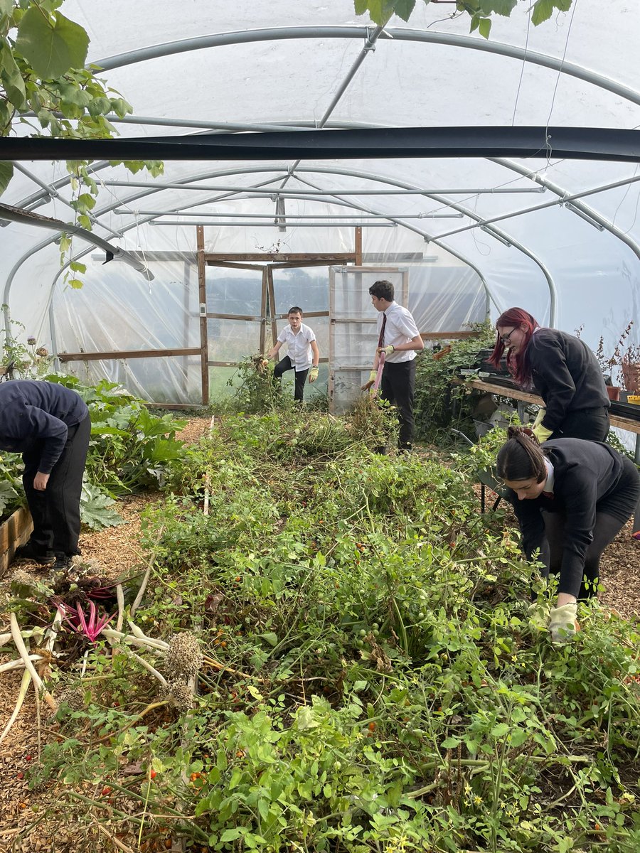 Back 2 Nature | Llantwit Major School tweet media