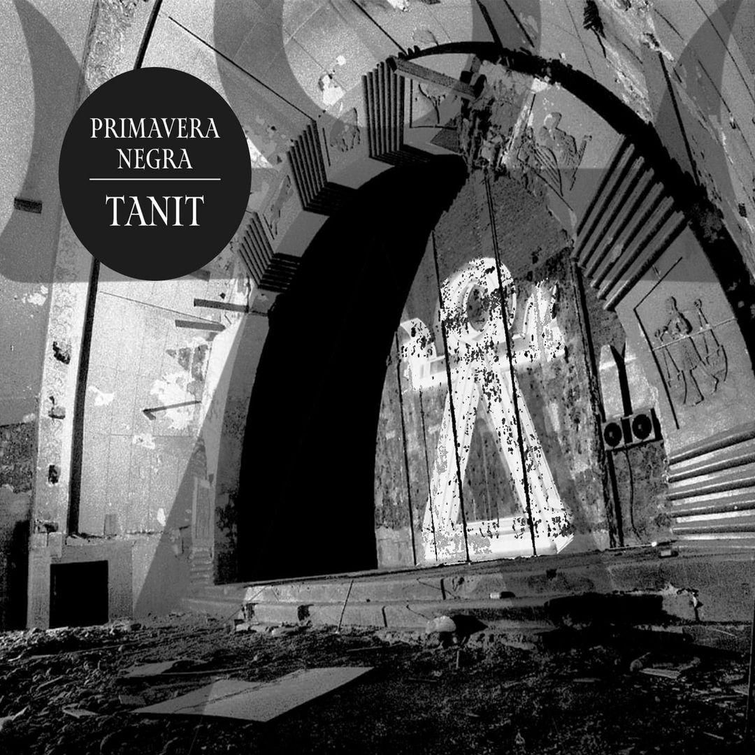 MylodonRecords's tweet image. La banda chilena Primavera Negra acaba de lanzar de manera digital su tercer disco estudio denominado "Tanit" y que incluye 12 intensas composiciones post pandémicas registradas entre 2023 y 2024. 👇👇👇
mylodonrecords.bandcamp.com/album/tanit
#PrimaveraNegra #Tanit #PostProgressive #KrautRock