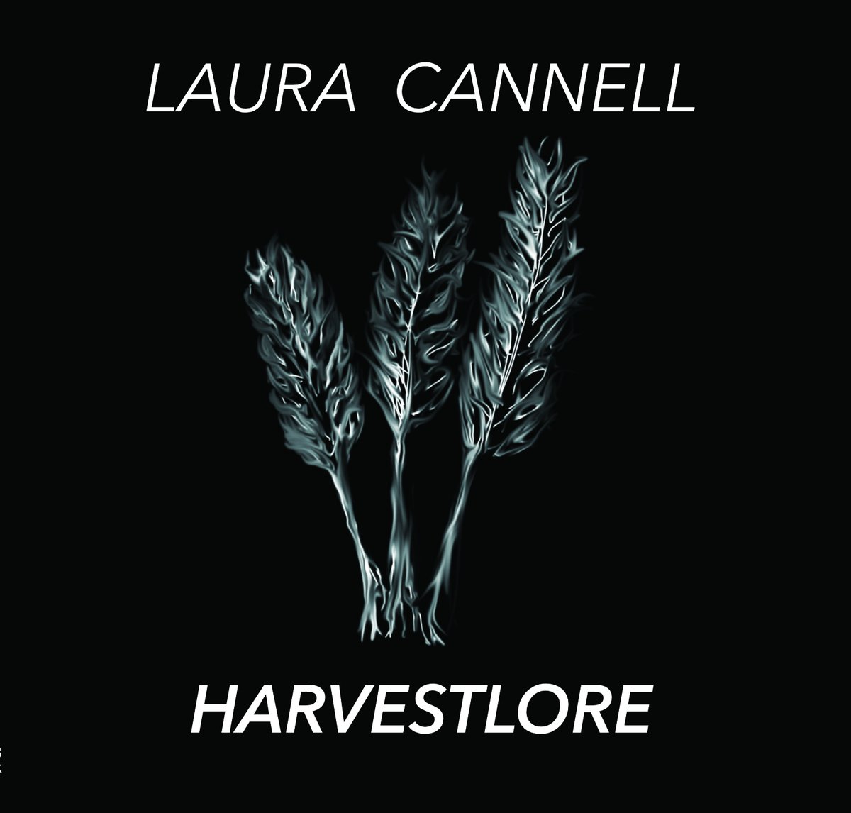 Brawl Records tweet media