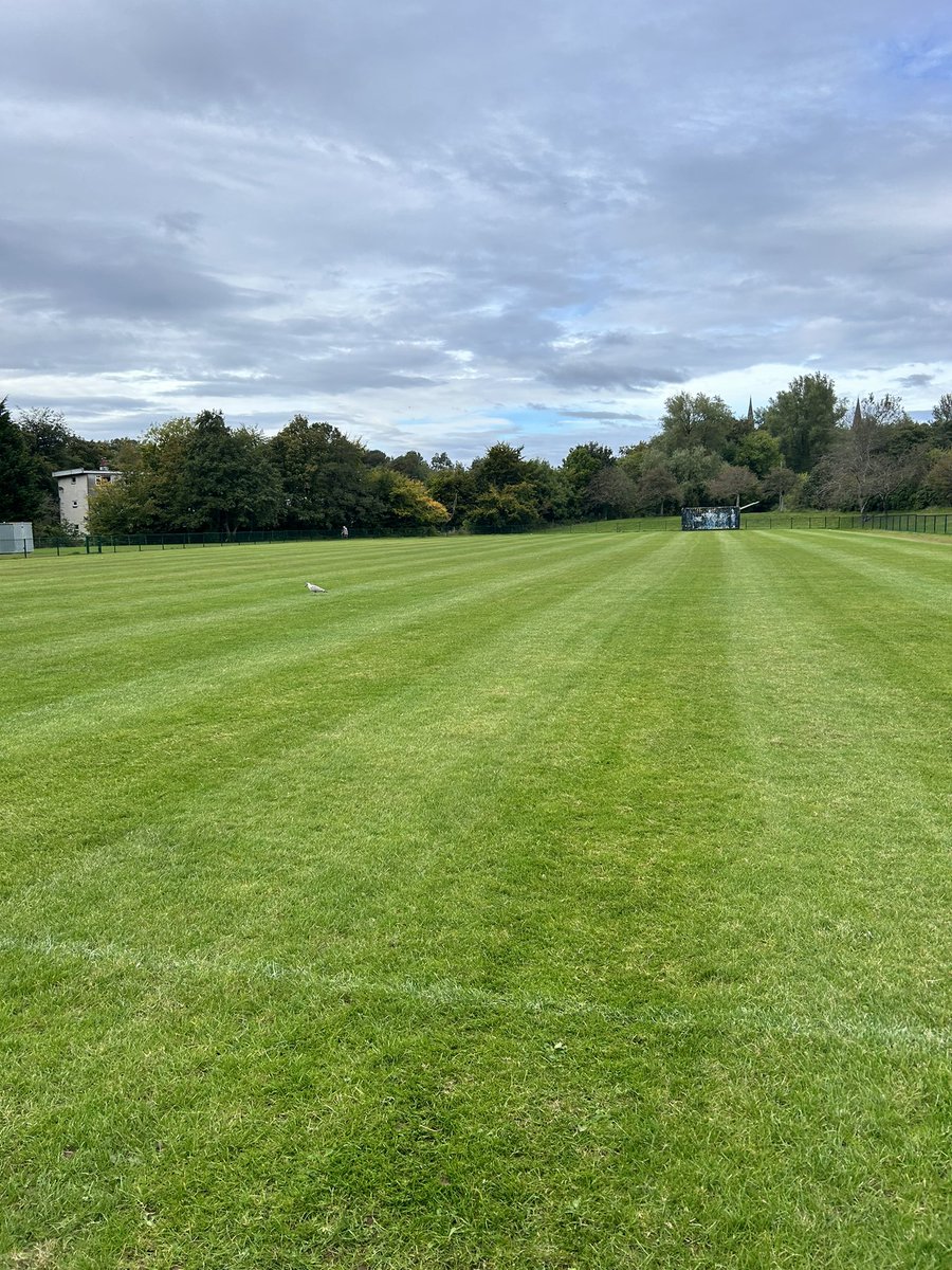 LawncareAs's tweet photo. Football pitches cut in Knocentiber west Kilbride and largs with 11s 2x7s and 9s also lined in largs. https://t.co/qWS3WqDsZT