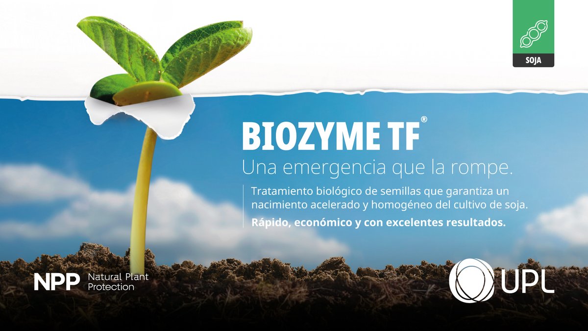 UPLArgentina's tweet photo. BIOZYME TF es el tratamiento biológico de semillas que potenciará a tu soja desde el nacimiento 🌱✅

Si querés conocer más sobre las #BiosolucionesUPL by NPP, escribinos o consultá en https://t.co/HkFGHfU0GW https://t.co/xZGqCKQHbs