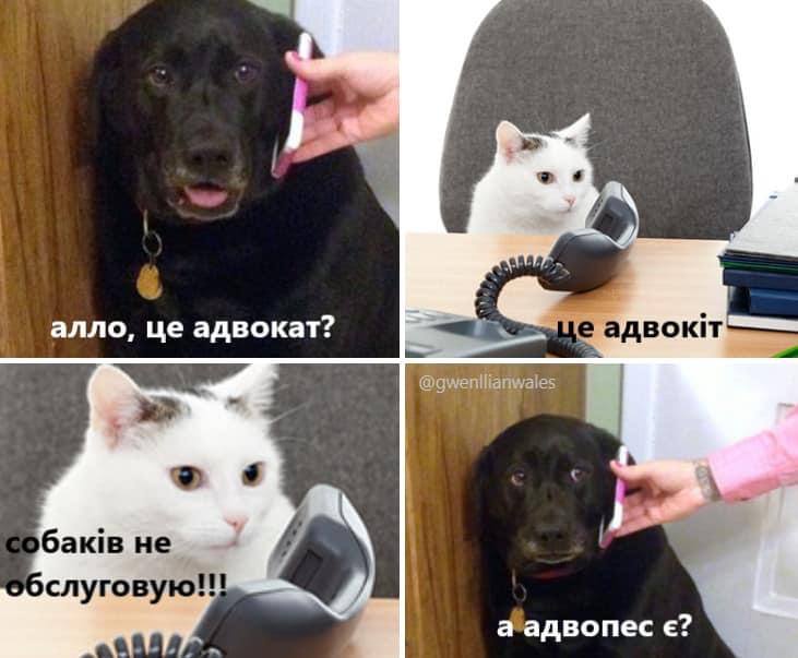 MaryIhnatieva's tweet photo. Мій. Рівень. Гумору. https://t.co/NTwiCuHSJn