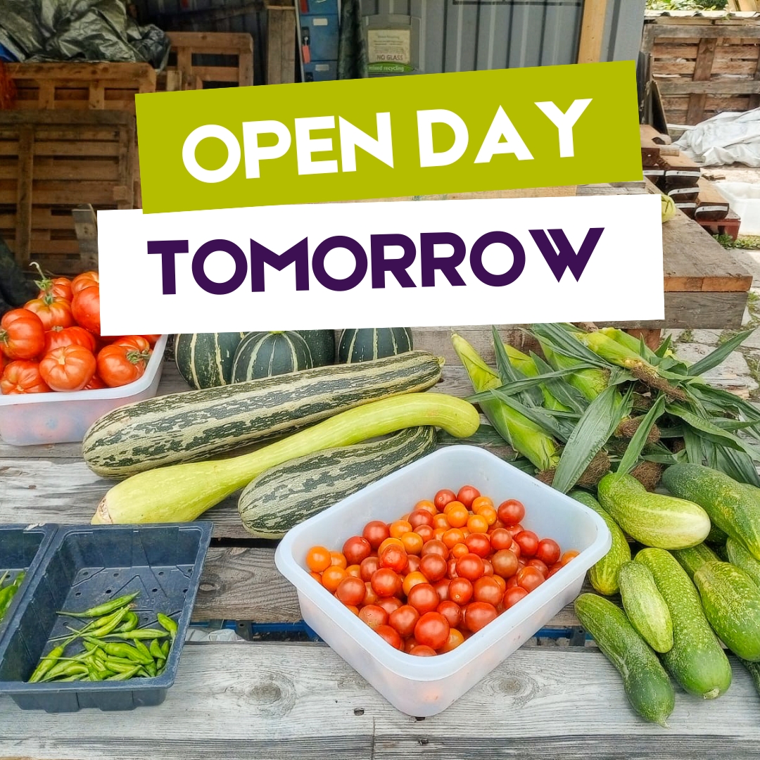 Tomorrow is the big day! We open the gates at our Outdoor Learning Centre 🌽 

Come and explore our Outdoor Learning Centre and enjoy a day packed with family-friendly fun from 11am-3pm! 

See you there 💙