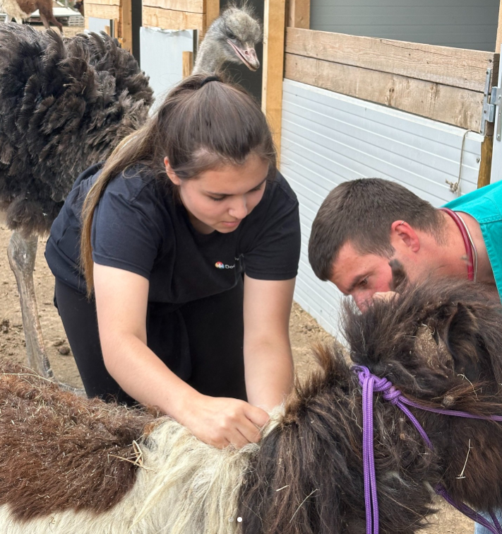 Victoria Mosqueira and Eleni Engelbrecht, both Biology majors at LMU, joined the Doctors in Italy Fellowship and had the unique opportunity to shadow physicians and veterinarians at prestigious institutions in Italy. <a href="/LoyolaMarymount/">Loyola Marymount University</a>