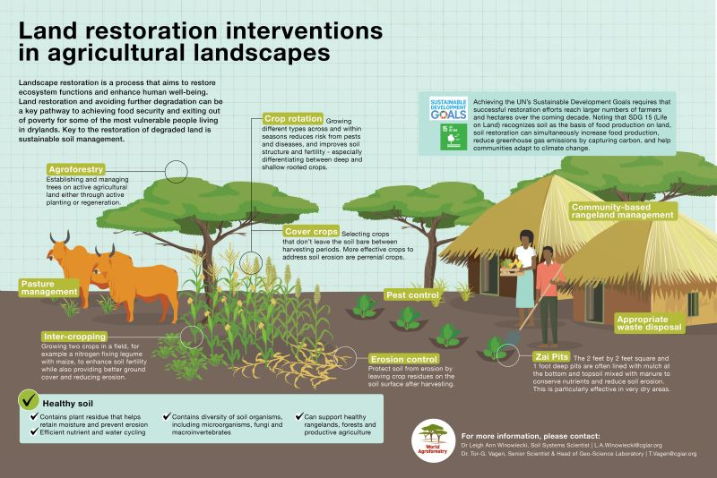 UN Biodiversity tweet media