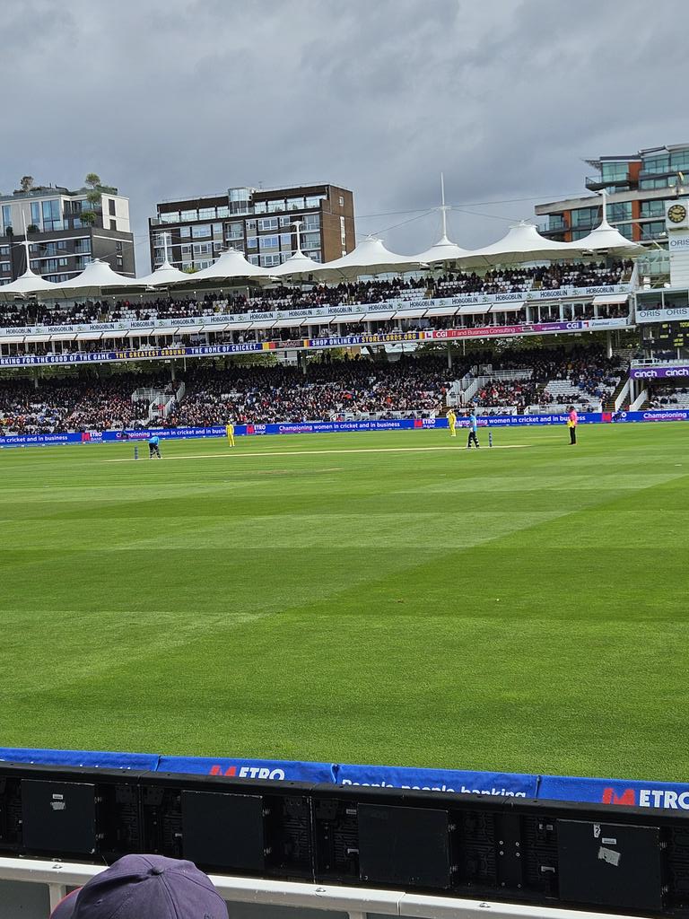 View for the afternoon with #nogsnogshd