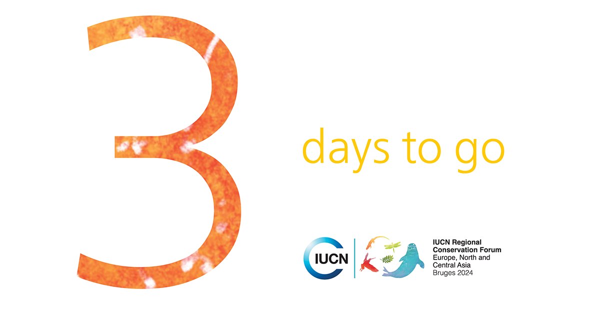 IUCNEurope's tweet photo. Join #RCF24ENCA in 3 days as we explore integrating nature into economies, nature & #FoodSystems, addressing #ClimateCrisis, advancing #conservation & #RestoringEcosystems 👉 https://t.co/rlKgxxjkki
Our speakers @malaga @EULandownersOrg @HumbertoDRosa1 @IUCN_WCPA @IUCNEurope https://t.co/WoUceiSDc3