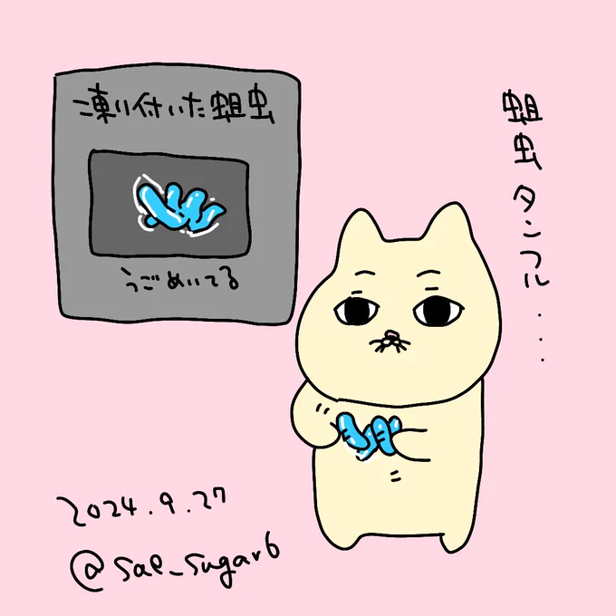 おしゃれスイーツ? 