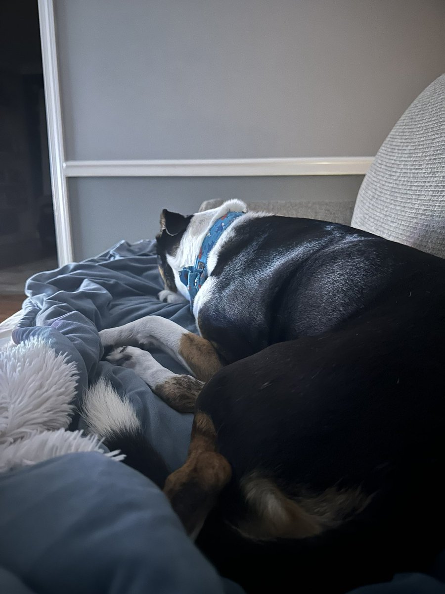 We had a camp out last night in da living room!! No s’mores, no campfires, but lots of Momma and Papa walking around checking for water. We were lucky, never lost power, just lots of rain. Hoping all our friends are safe too.
