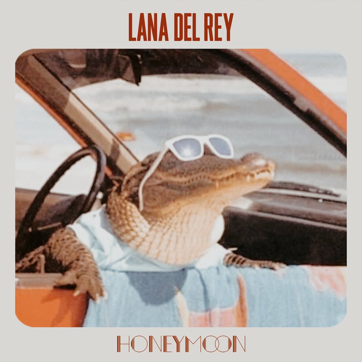 cinnamndn's tweet photo. Lana Del Rey - Honeymoon (limited wedding edition) https://t.co/aBl3lQTEPu