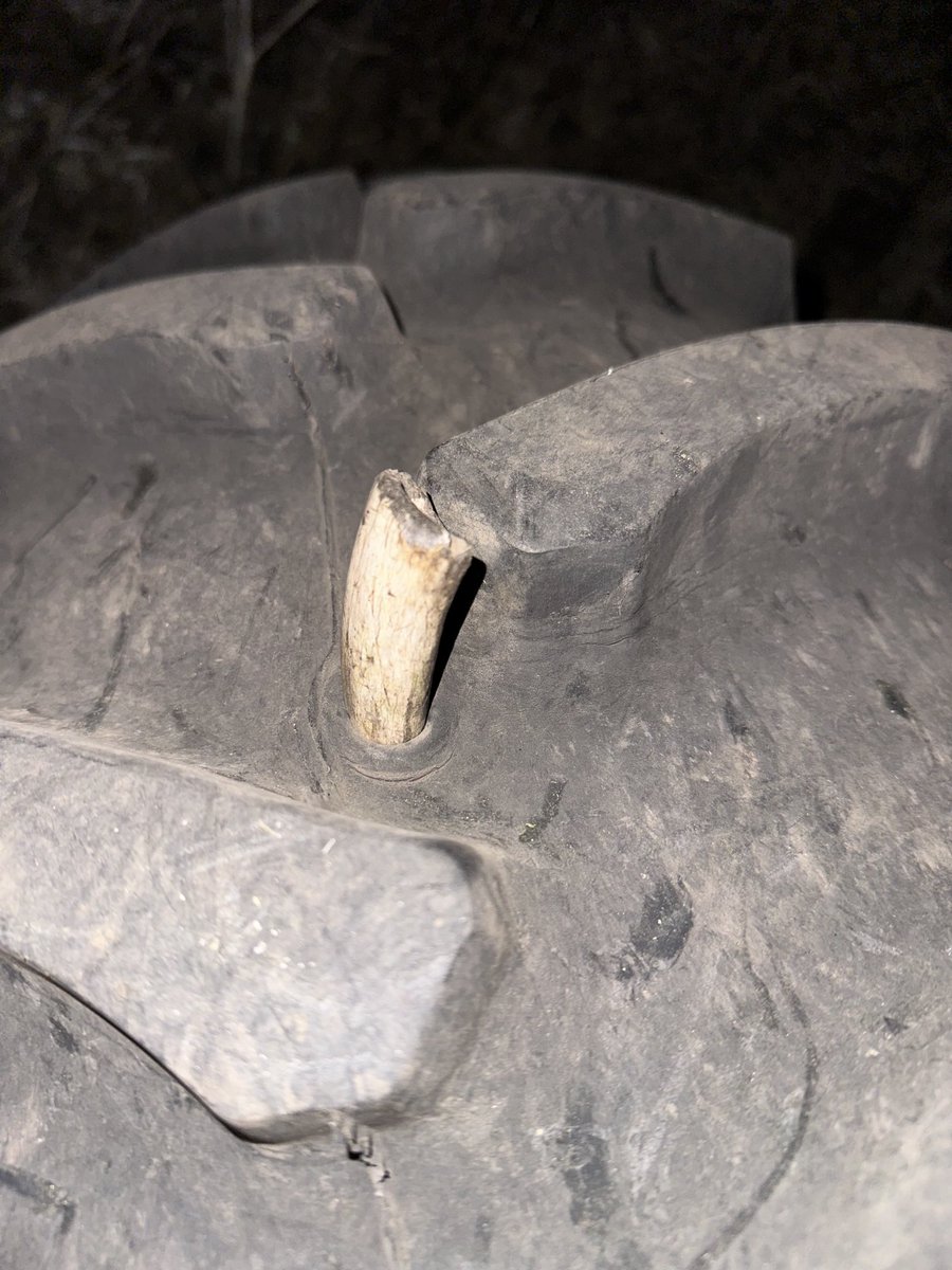 How many mornings in a row can we have flat tires