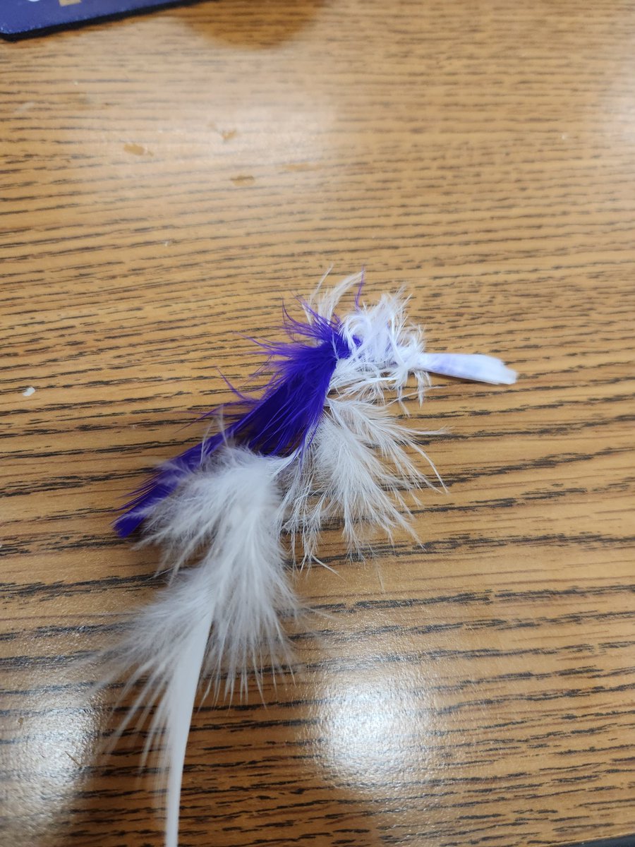 Angela Wilcox tweet media