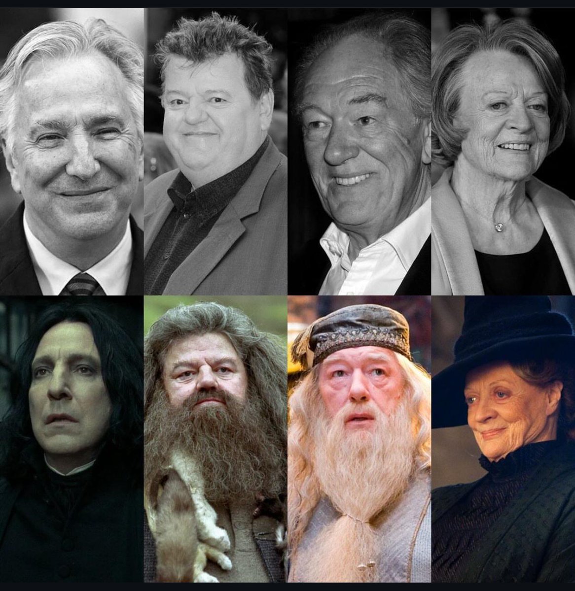 Necesidad imperiosa de Maraton de Harry Potter ahora mismo 😭😭