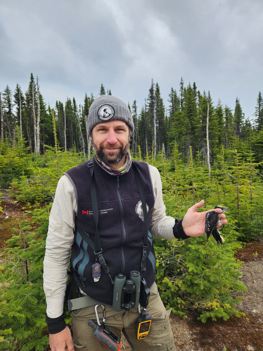 Environment Canada tweet media