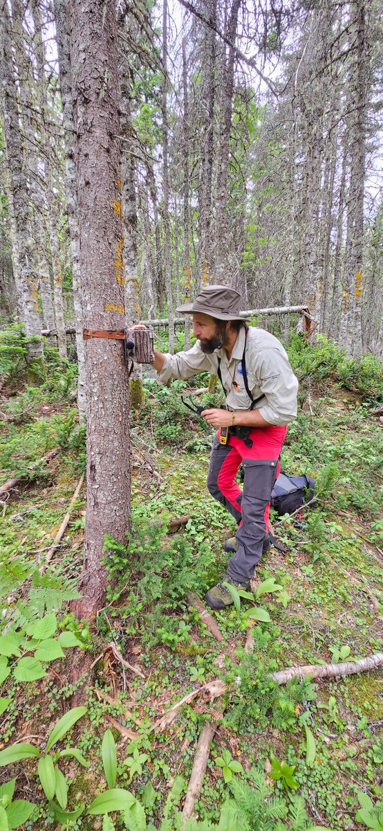 Environment Canada (@environmentca) on Twitter photo How does Dr. Junior Tremblay use environmental science to inform sustainable development and protect #ecosystems?
This #NationalForestWeek, read his profile in #SpotlightOnScience to find out 🌲: ow.ly/CgCE50Tx27Y
<a href="/Tremblay_Jun/">Junior Tremblay</a> How does Dr. Junior Tremblay use environmental science to inform sustainable development and protect #ecosystems?
This #NationalForestWeek, read his profile in #SpotlightOnScience to find out 🌲: ow.ly/CgCE50Tx27Y
<a href="/Tremblay_Jun/">Junior Tremblay</a>