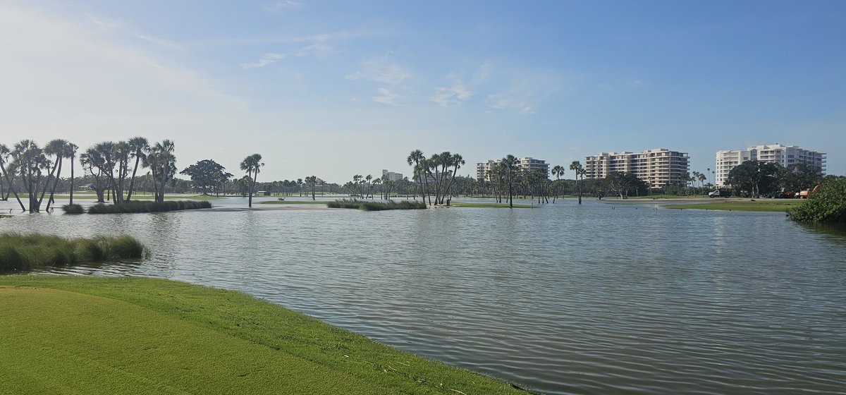 john reilly tweet media