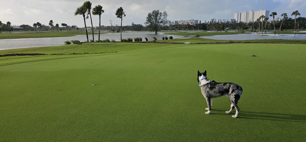 john reilly tweet media