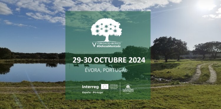 RETECORK's tweet image. El V Congreso Ibérico de la Dehesa y Montado se celebrará en Évora los días 29 y 30 de octubre de 2024. Un foro que reunirá a gestores, propietarios, administración pública, academia y otras entidades vinculadas al ecosistema Dehesa-Montado.

➡️ congresodehesamontado.com