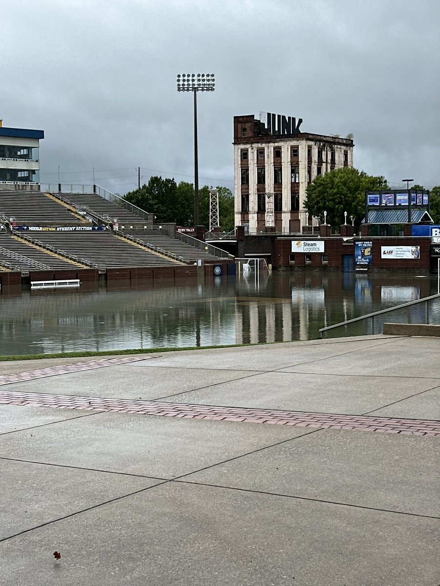 David Martin tweet media