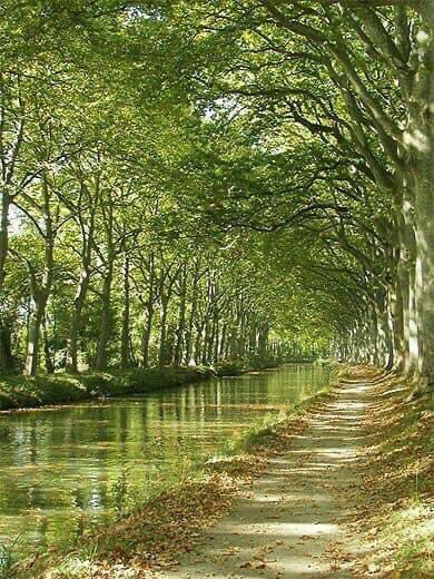 InsatiableVVIP's tweet image. Peaceful &amp;amp; Relaxing ………..!!! 💫💕💫