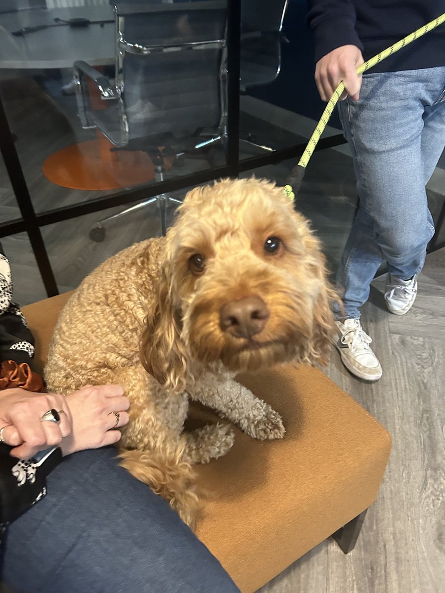 Today, we put our chef hats on for an office bake-off to raise money for #MacmillanCoffeeMorning. 🧑‍🍳 The team baked plenty of goods to go around, and we raised a total of £130 from our donations. Thanks to everyone for taking part for another year 💚 #LifeAtDelio