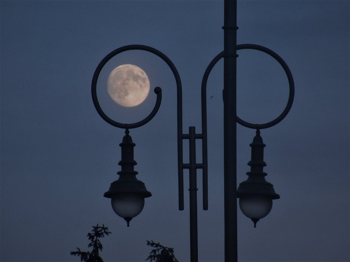 <a href="/DMiller52325459/">D Miller</a> Vilnius , Lithuania.  #round