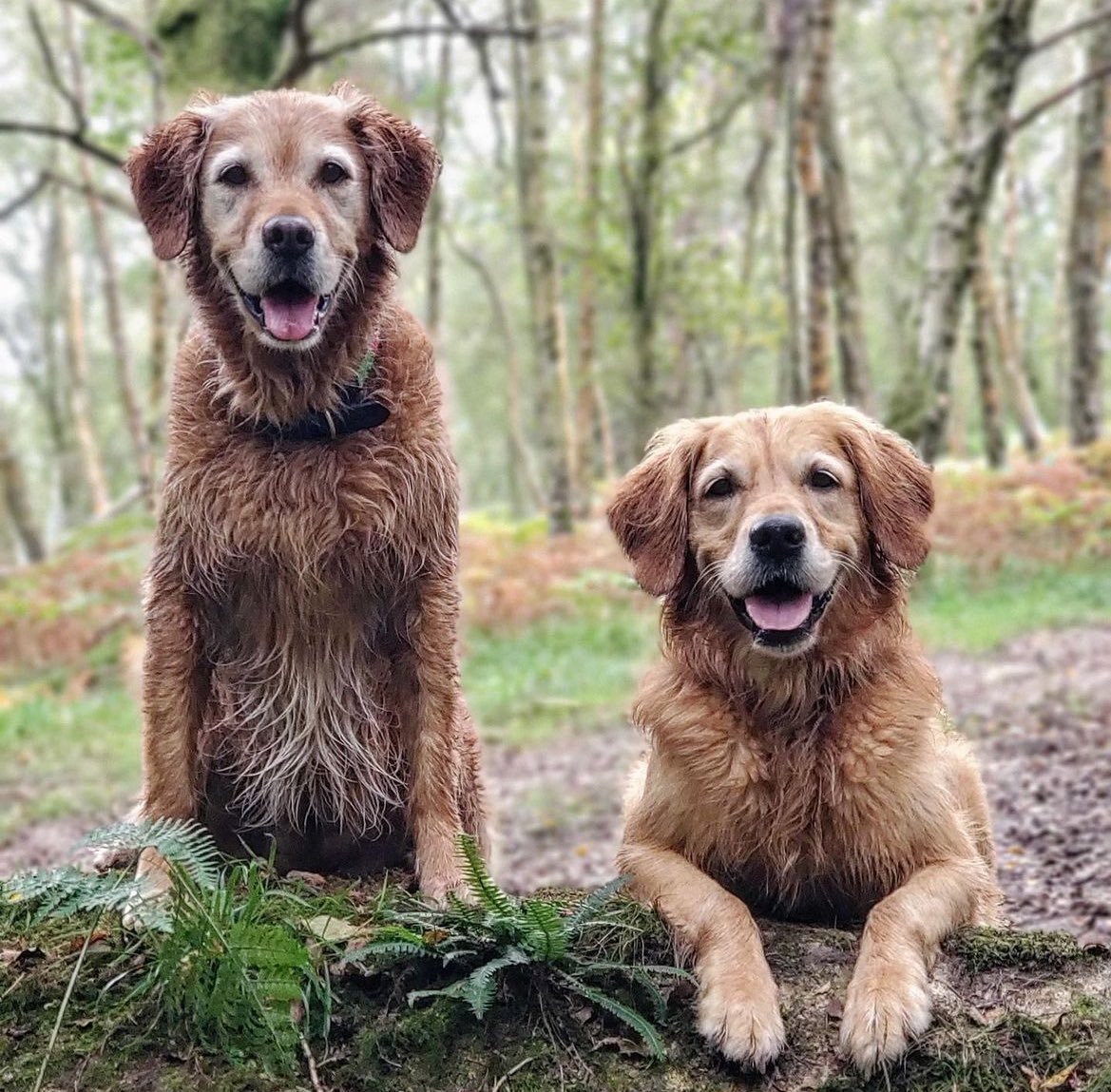 3 Years Ago on 26th September 2021,

Mika posted to his Instagram:
« Happiness. Moo &amp; Sharky »