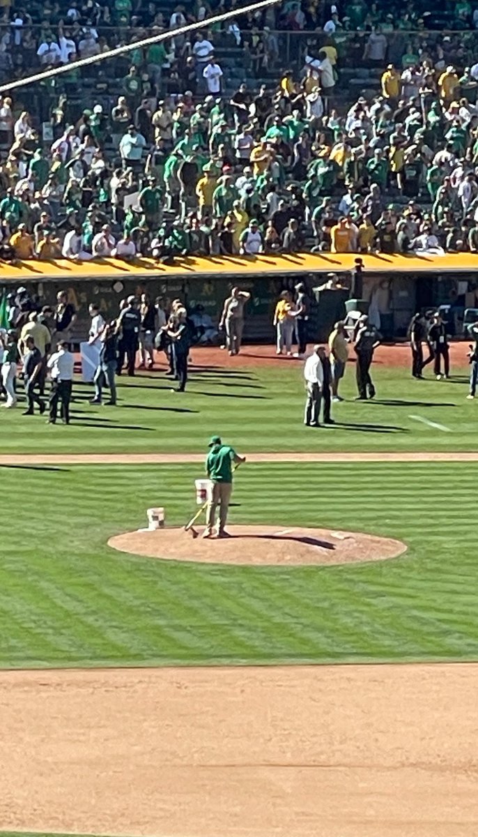 Zen Bobrist tweet media