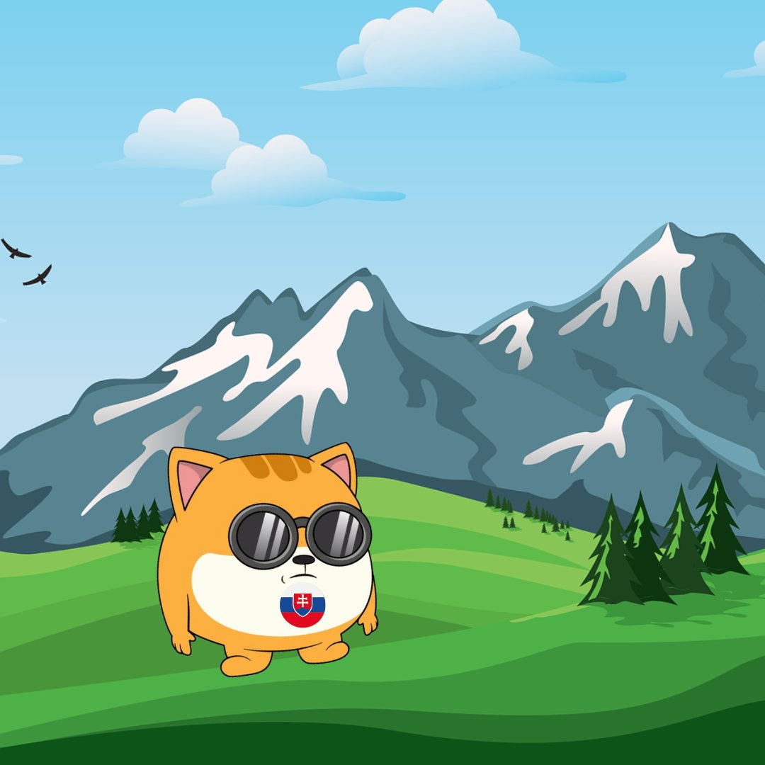 MadMaxx (∎, ∆) tweet media