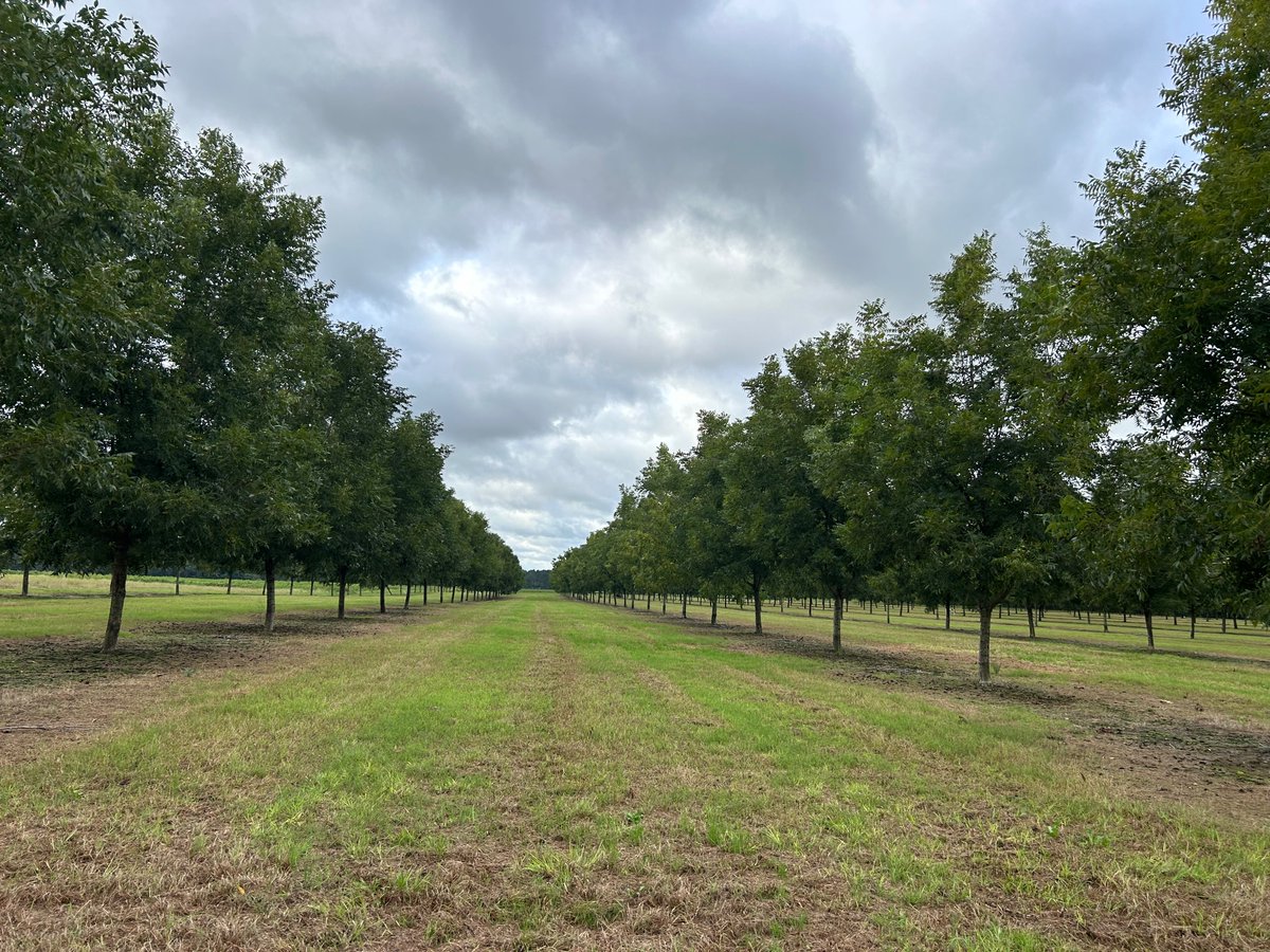 The Orchard Keeper tweet media