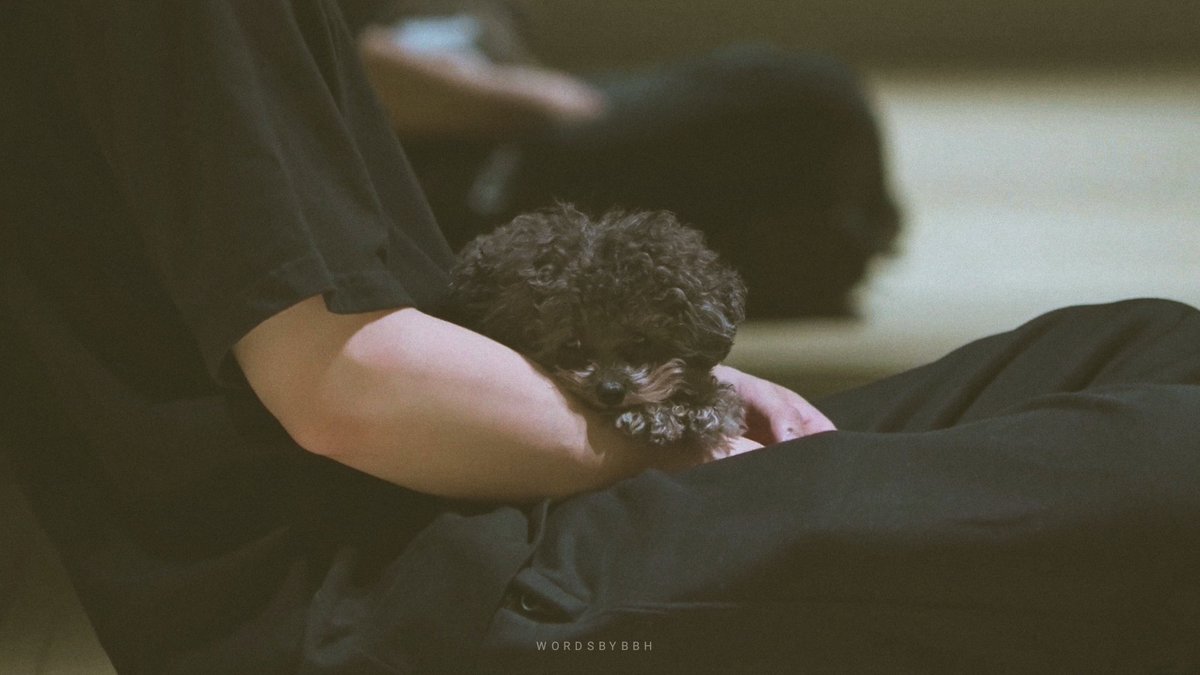 wordsbybbh's tweet photo. baekhyun and puppy ♡ https://t.co/q8dtcH30S5