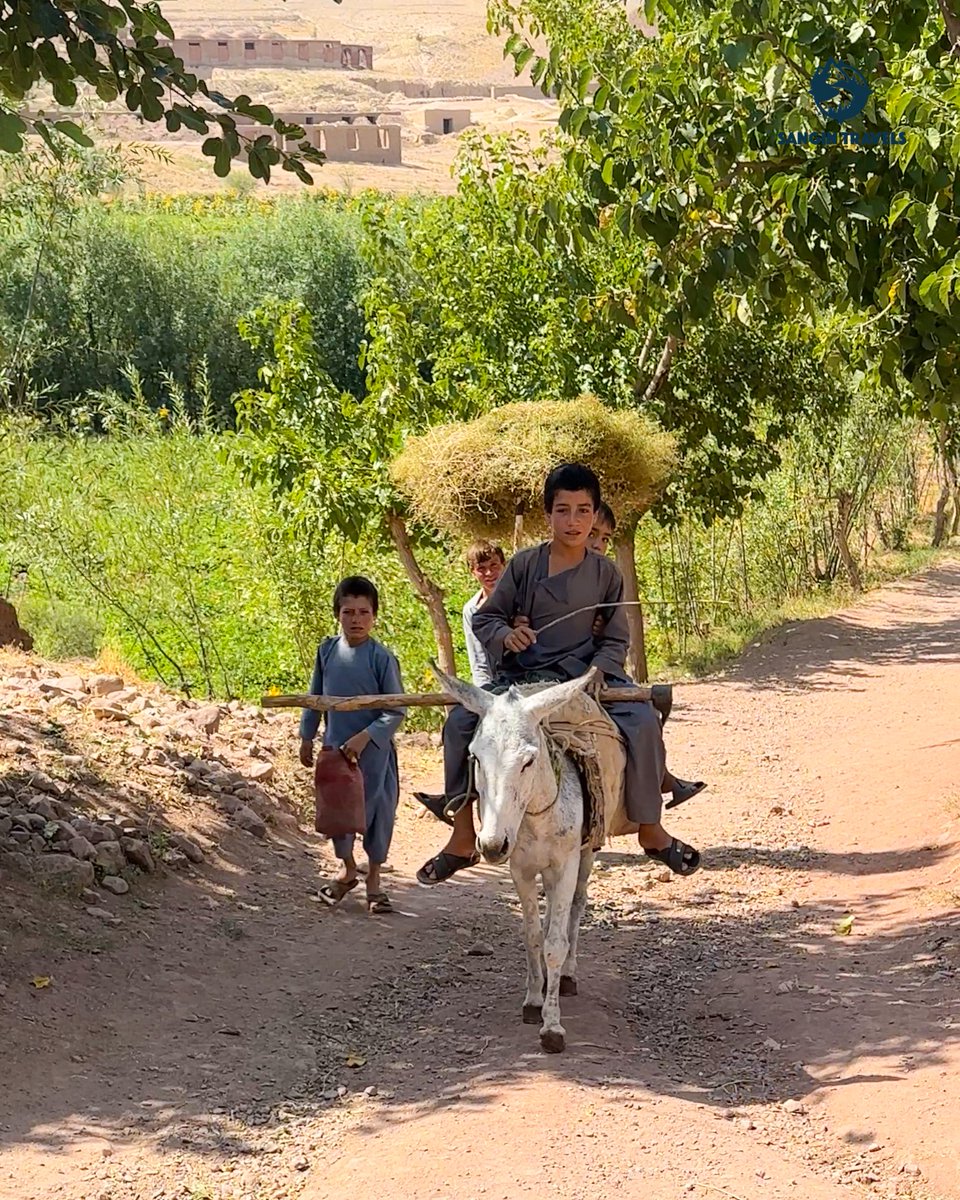 SanginTravels's tweet photo. It was a marvelous Friday in the Karokh district of Herat 📍

Hiking here was a unique experience, with mountains of reddish sand, lush gardens, and pristine village life. 🏞️

The diverse and stunning landscapes reflect the beauty of its people ❤️ https://t.co/letqmyQMQY