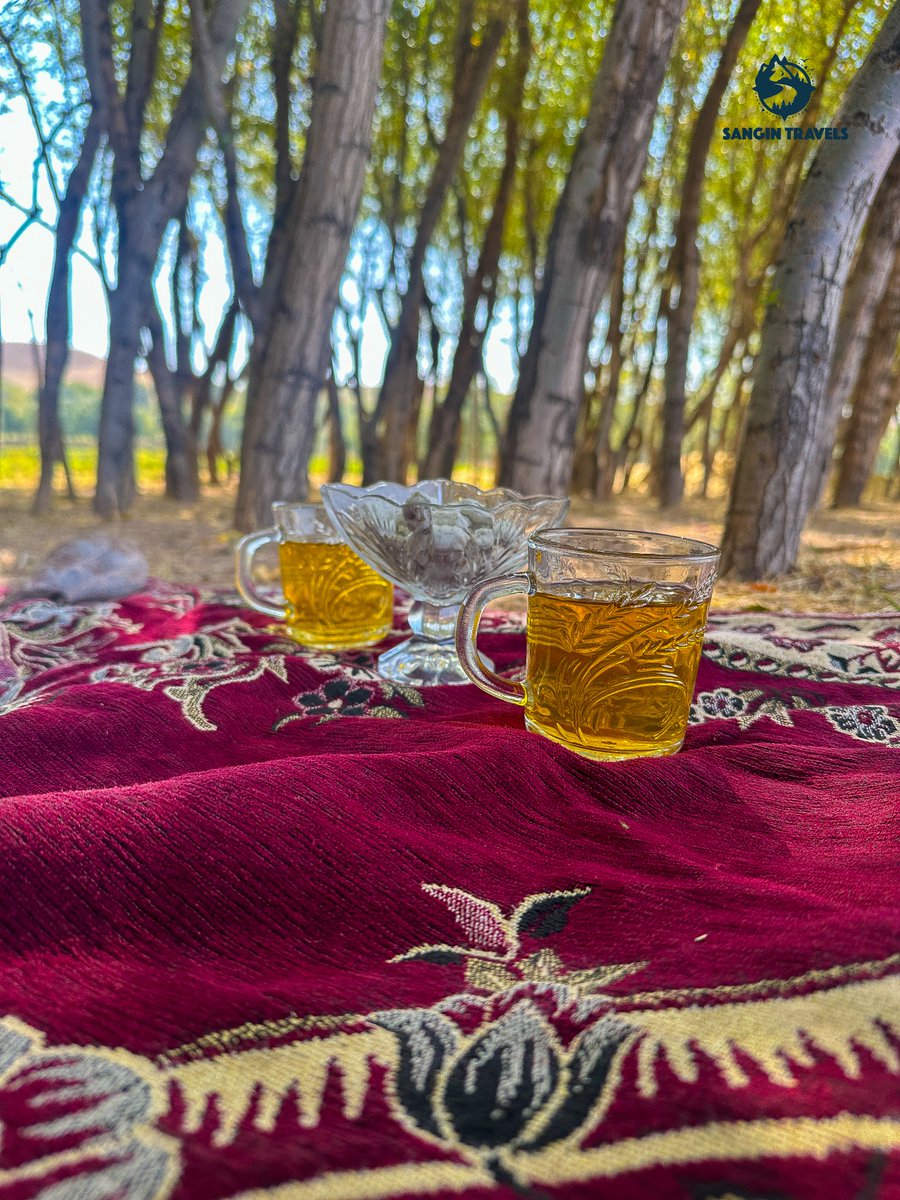 SanginTravels's tweet photo. It was a marvelous Friday in the Karokh district of Herat 📍

Hiking here was a unique experience, with mountains of reddish sand, lush gardens, and pristine village life. 🏞️

The diverse and stunning landscapes reflect the beauty of its people ❤️ https://t.co/letqmyQMQY