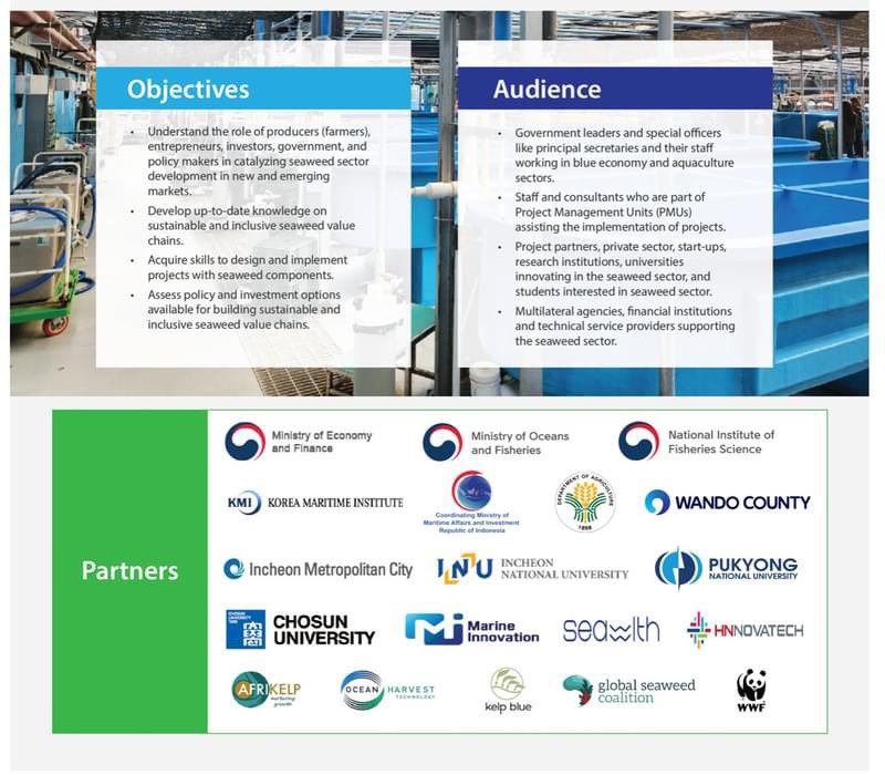 Global Seaweed Coalition tweet media