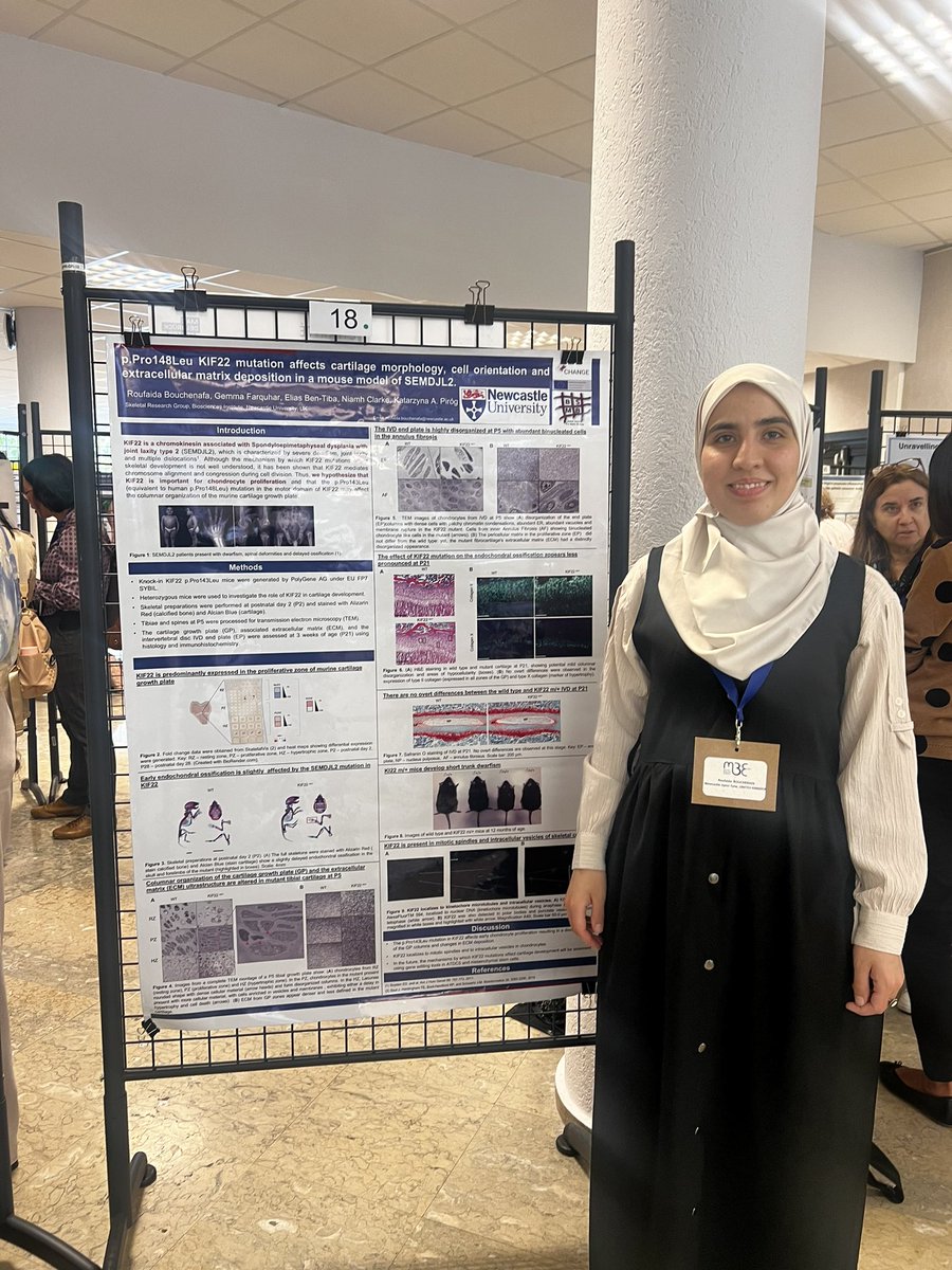 Roufaida Bouchenafa tweet media