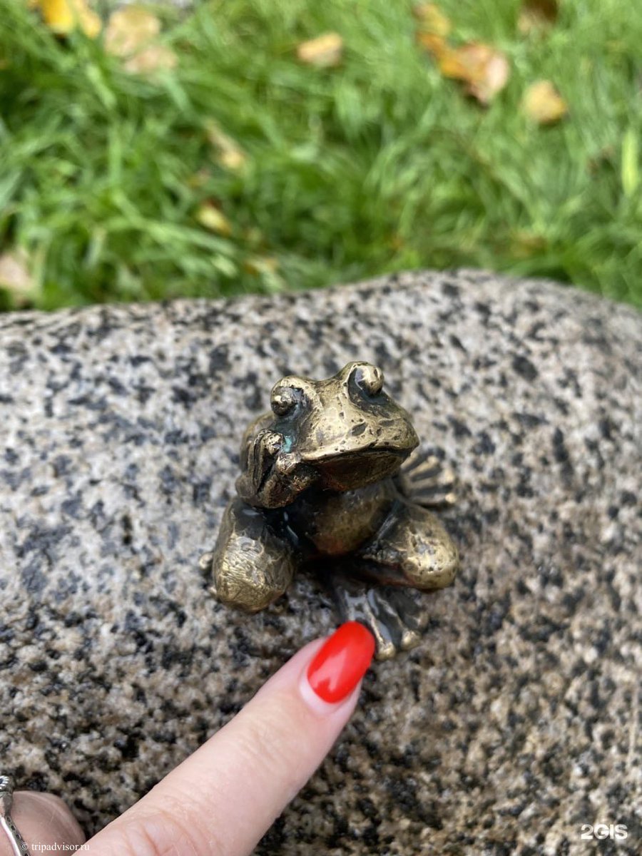 小物 Frog Flying Tree Frog Incredible Creatures Figure Safari Ltd Amphibian