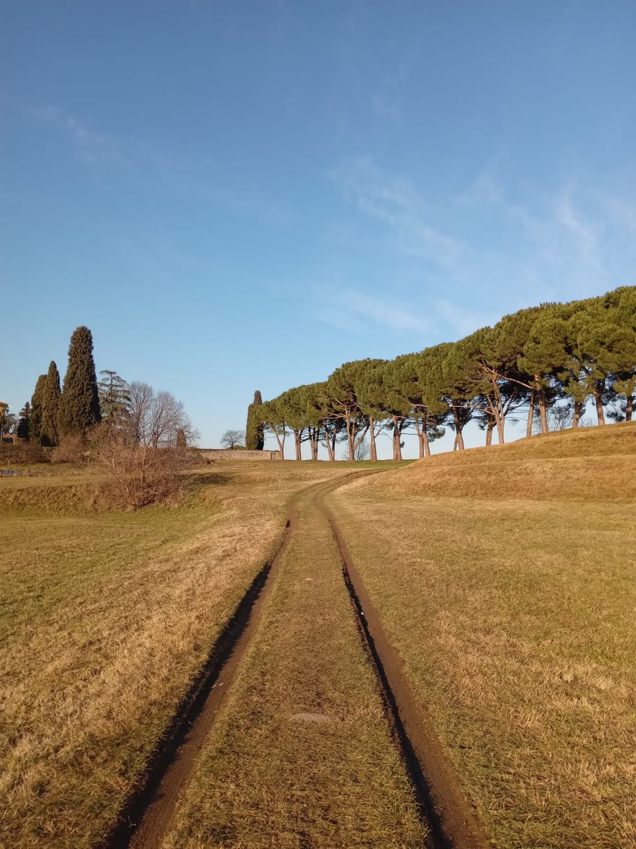 enzapaolalove's tweet photo. #cioPerCui vale la pena seguire il sentiero
#UnTemaAlGiorno
Il viale della contessa
Inverigo (Como) https://t.co/xPCg0pwHt5
