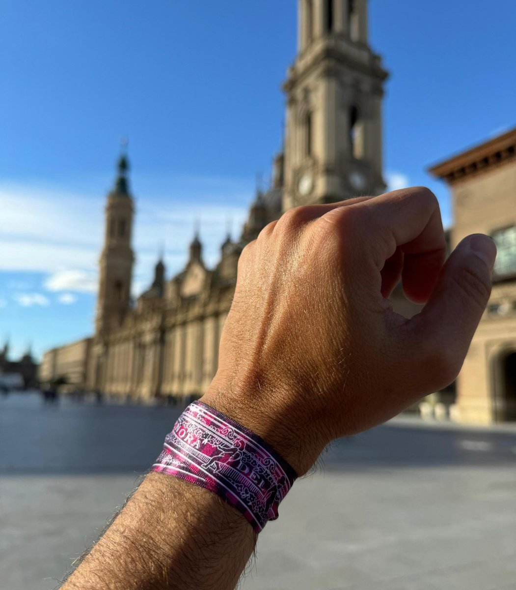 Enjoy Zaragoza tweet media