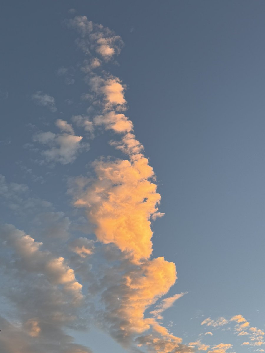 uriiilife's tweet photo. Les sortides de sol d’aquesta setmana😍🫠 https://t.co/aFzIeY50tg