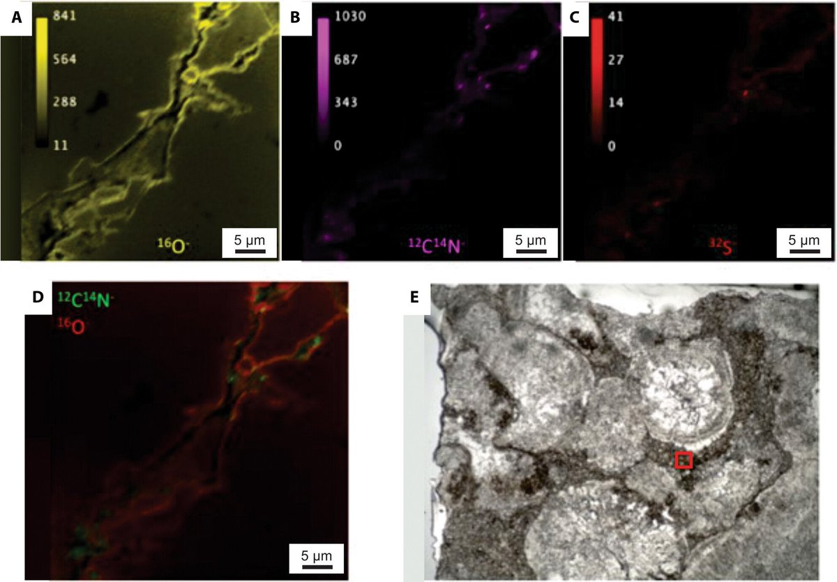 New in TDR

The role of organic matter in Brazilian Pre-Salt carbonates

Ilana Lehn,  Crisógono de Oliveira Vasconcelos

doi.org/10.1002/dep2.3…