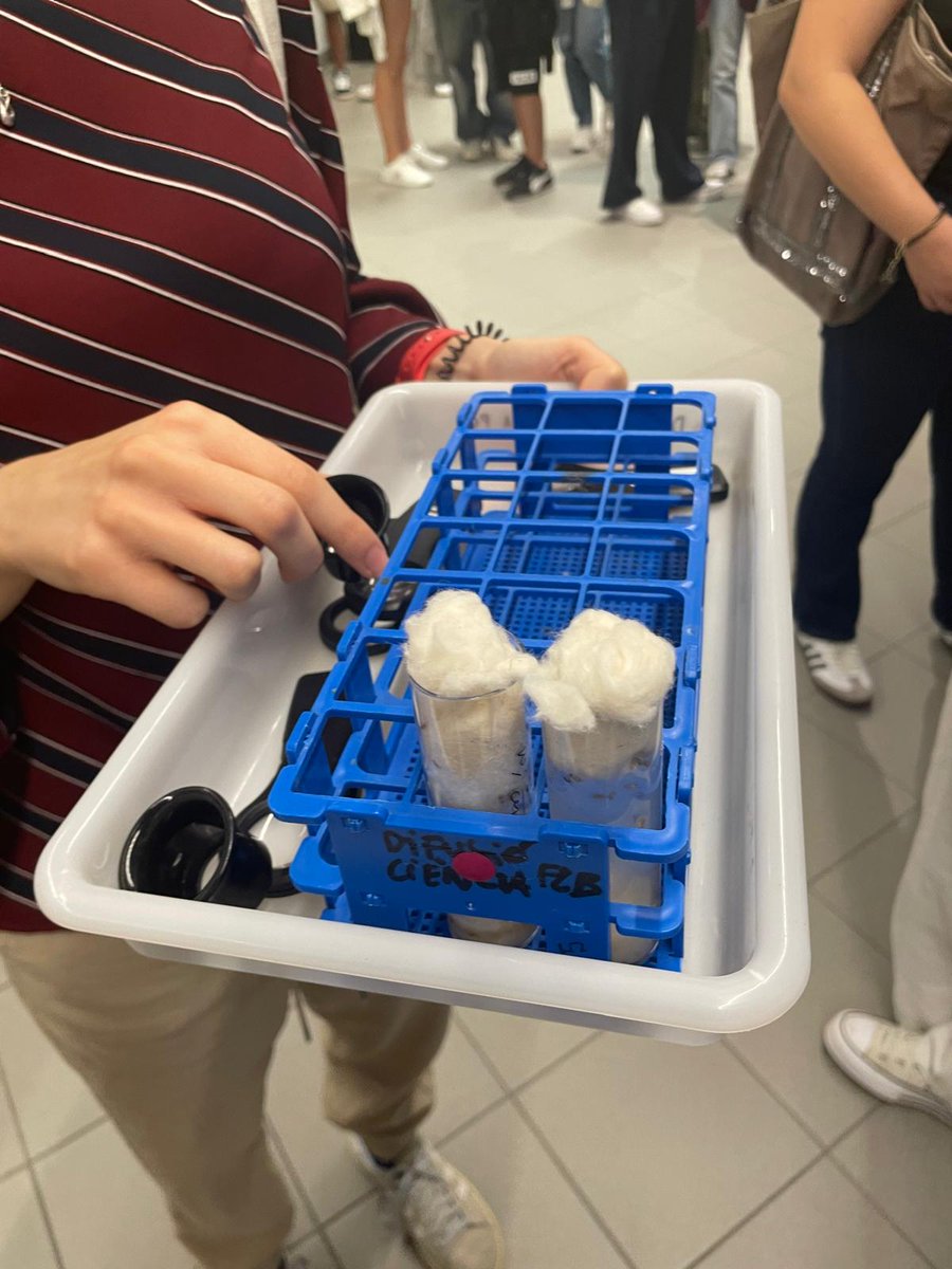 PCB_UB's tweet photo. 👩‍🔬🧑‍🔬El #PCB_UB participa un any més en la #NitRecerCat, en el marc de la #EuropeanResearchersNight! 👉https://t.co/ZKW3yZwgU2

🔬🧬Prop de 150 alumnes de 6 centres educatius de tot Catalunya han visitat avui el Parc per conèixer de primera mà les diferents fases del procés de desenvolupament d’un medicament i com la #bioinformàtica està impulsant grandes avanços en la recerca de les #malaltiesgenètiques 

@IRBBarcelona @cnag_eu #NitRecerCat24 #PCBCommunity #RecercaenSocietat #NitEuropeaDeLaRecerca #HorizonEU