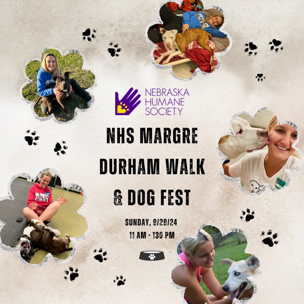 CogsDogs's tweet photo. This Sunday on 9/29, we will be a vendor at @NEHumaneSociety's Margre Durham 35th Annual Walk & Dog Fest event! 🐶🎉
https://t.co/AGS2tiXHwu
We can’t wait to see you and your furry best friend there! 🐾
#doglovers #dogevent #smallbusinesssupport #rescuedogs https://t.co/aR8gkl0q6d