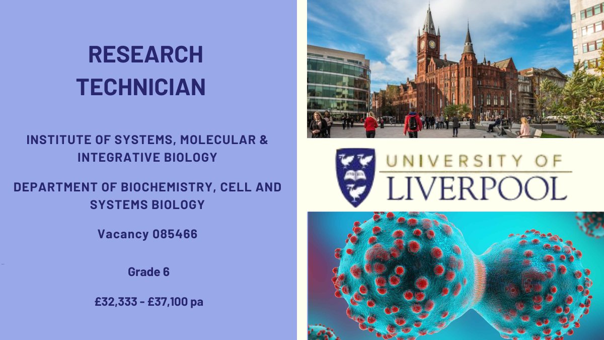 Liverpool University Jobs (@livunijobs) on Twitter photo 📢Exciting opportunity for a talented, organised and highly motivated research #technician to join the Perinatal Pharmacology Group on a Wellcome Trust funded translational #research programme.
Information / Apply ➡️tinyurl.com/yckrz2dp
<a href="/LivUniISMIB/">Inst of Systems, Molecular & Integrative Biology</a> <a href="/LivUniHLS/">Faculty of Health and Life Sciences</a> <a href="/LivUniTechNet/">University of Liverpool Technical Network</a> 📢Exciting opportunity for a talented, organised and highly motivated research #technician to join the Perinatal Pharmacology Group on a Wellcome Trust funded translational #research programme.
Information / Apply ➡️tinyurl.com/yckrz2dp
<a href="/LivUniISMIB/">Inst of Systems, Molecular & Integrative Biology</a> <a href="/LivUniHLS/">Faculty of Health and Life Sciences</a> <a href="/LivUniTechNet/">University of Liverpool Technical Network</a>