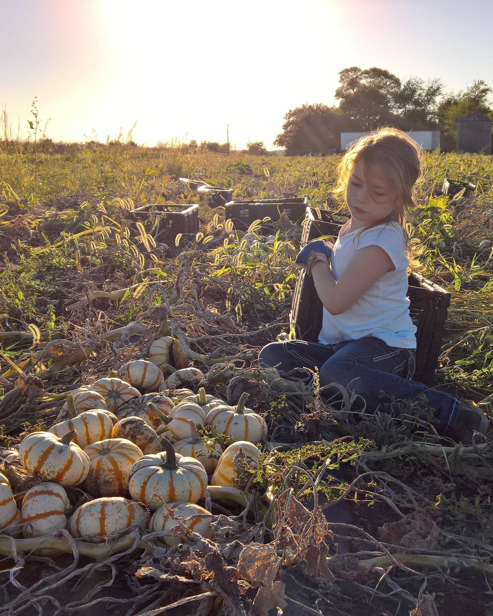 ISDAgov's tweet photo. From the field to your front porch. πππ #FarmSceneFriday https://t.co/zIxQOaEbQs