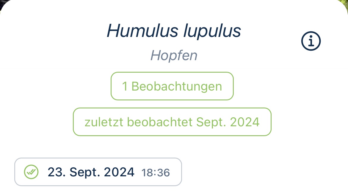 Mit der neuesten Version von Flora Incognita bekommt Ihr ein Feature, was sich sehr oft gewünscht wurde: Ihr seht nun, wie oft Ihr eine Art schon gefunden habt. Für die, die jede Art nur einmal sammeln wollen, ist das nun deutlich einfacher. 
Also, updated Eure App!