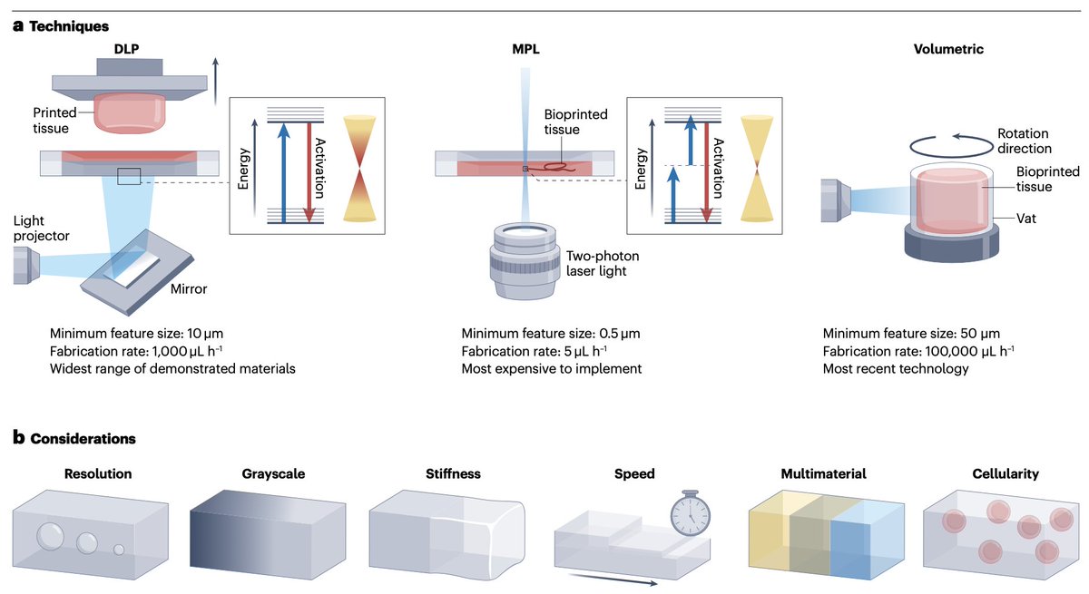Cole DeForest (@coledeforest) on Twitter photo Excited to see our latest manuscript, entitled "Light-based fabrication and 4D customization of hydrogel biomaterials" is now LIVE at <a href="/natrevbioeng/">Nature Reviews Bioengineering</a>!
Read for free here: rdcu.be/dVggd
Congrats to Irina Kopyeva (<a href="/UWBioE/">UW Bioengineering</a>) and <a href="/RP_Brady/">Ryan Brady</a> (<a href="/UWChemE/">UW Chemical Engineering</a>)! This was a fun one! Excited to see our latest manuscript, entitled "Light-based fabrication and 4D customization of hydrogel biomaterials" is now LIVE at <a href="/natrevbioeng/">Nature Reviews Bioengineering</a>!
Read for free here: rdcu.be/dVggd
Congrats to Irina Kopyeva (<a href="/UWBioE/">UW Bioengineering</a>) and <a href="/RP_Brady/">Ryan Brady</a> (<a href="/UWChemE/">UW Chemical Engineering</a>)! This was a fun one!