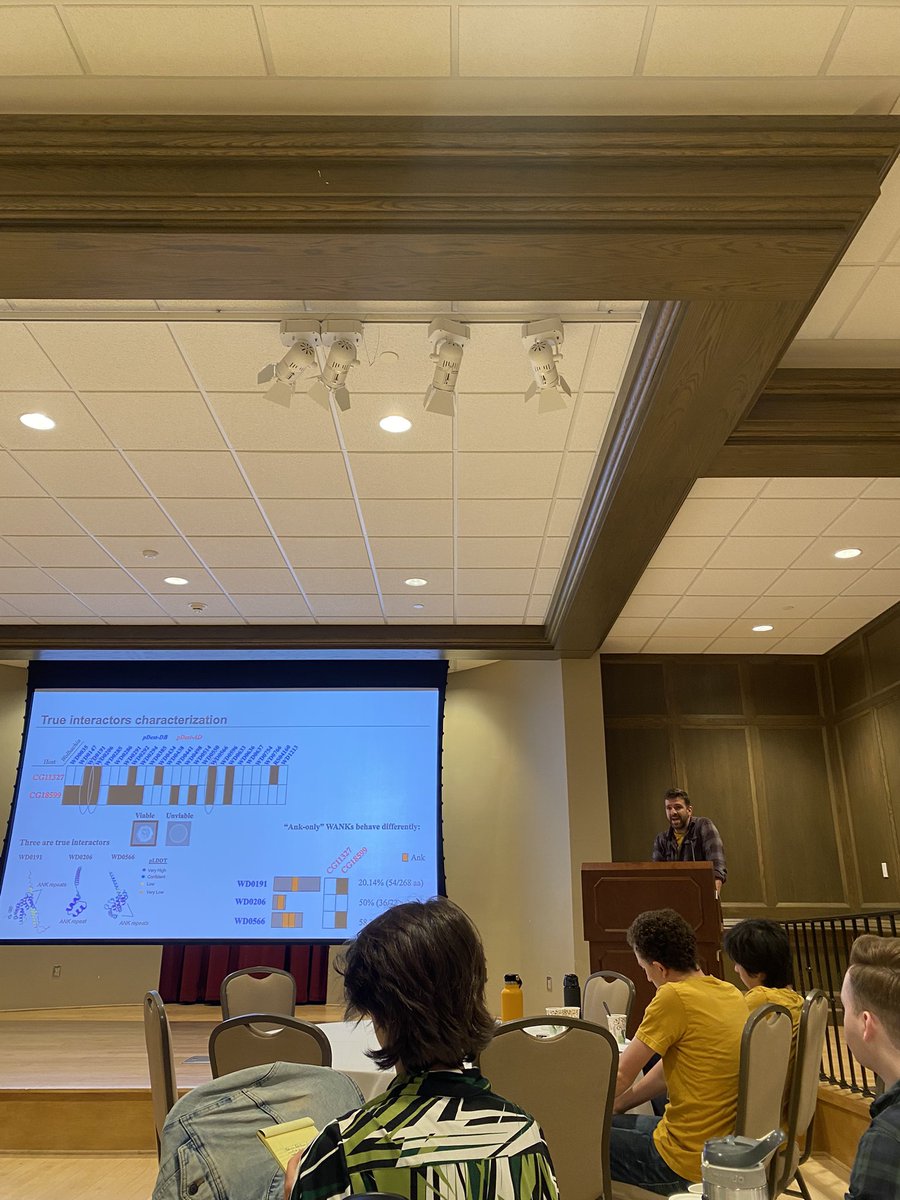 GEMS Institute (@gems_bii) on Twitter photo Some great talks in the first session, including this one from <a href="/lopezmadrigals/">Sergio López-Madrigal</a> ! <a href="/bedwellbacteria/">Sierra Bedwell, MS</a> had a good talk about the rhizobial symbiosis, and <a href="/pDavidVG97/">David VG</a> is following up! Some great talks in the first session, including this one from <a href="/lopezmadrigals/">Sergio López-Madrigal</a> ! <a href="/bedwellbacteria/">Sierra Bedwell, MS</a> had a good talk about the rhizobial symbiosis, and <a href="/pDavidVG97/">David VG</a> is following up!