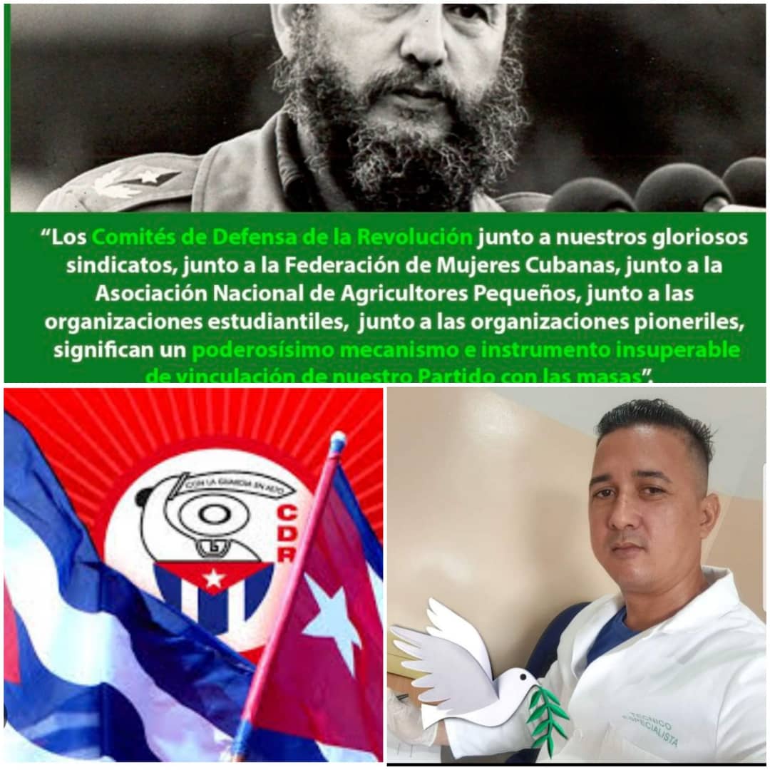 Yoana Machado tweet media