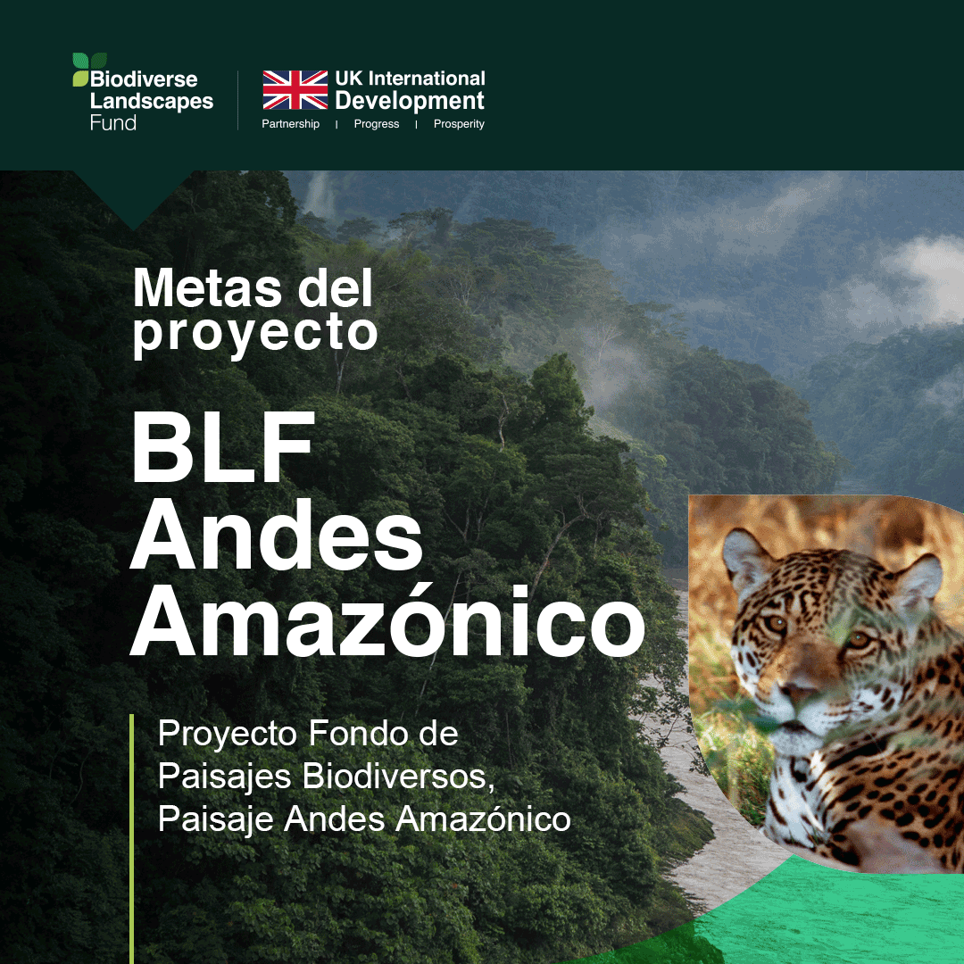 Practical Action en América Latina tweet media